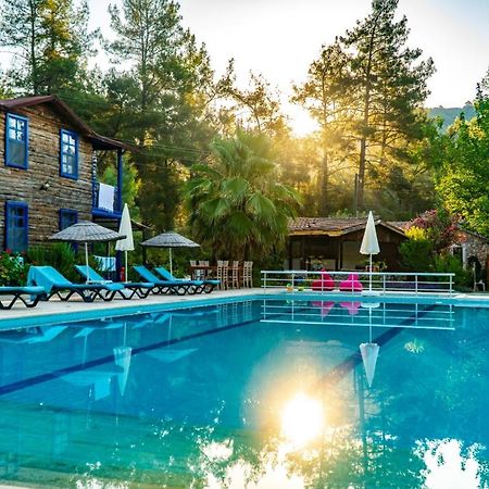 Olympos Forest House Hotel Yazir  ภายนอก รูปภาพ