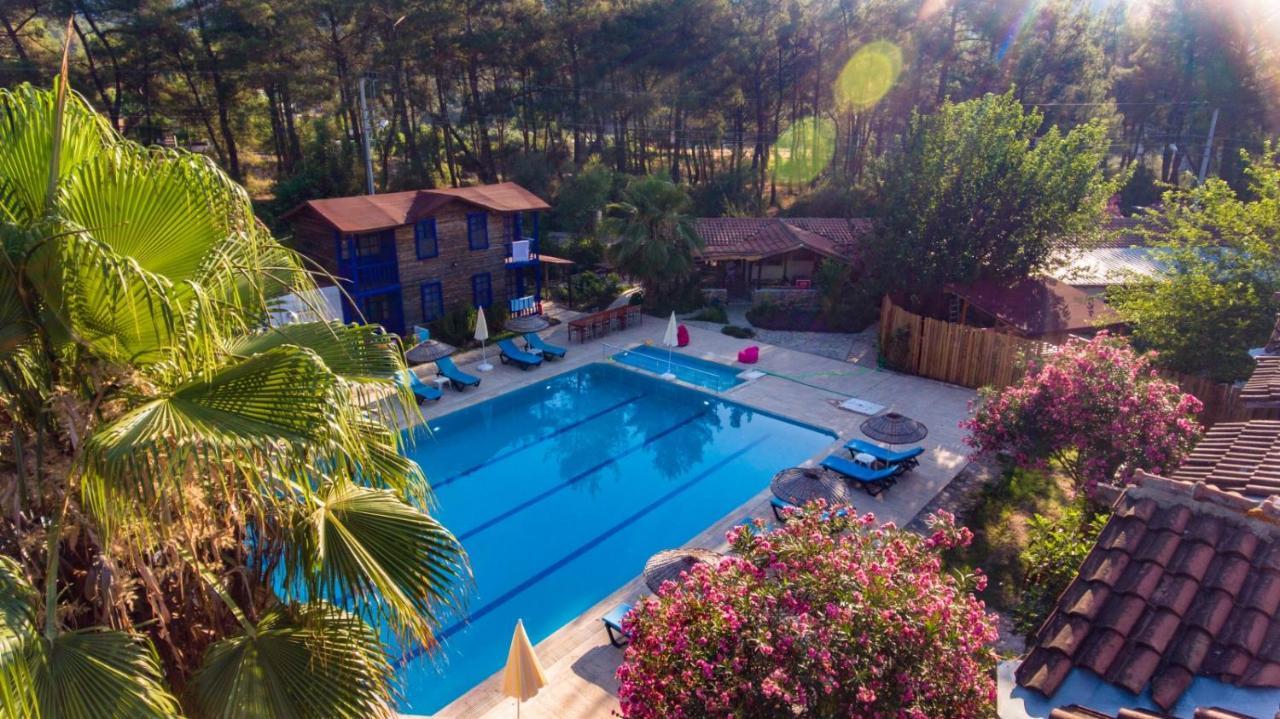 Olympos Forest House Hotel Yazir  ภายนอก รูปภาพ